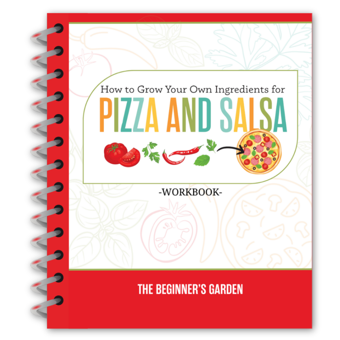 Pizza Salsa Workbook