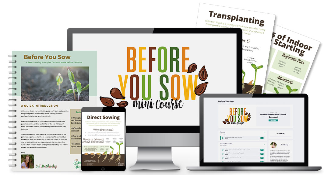 Before You Sow Mini Course Contents