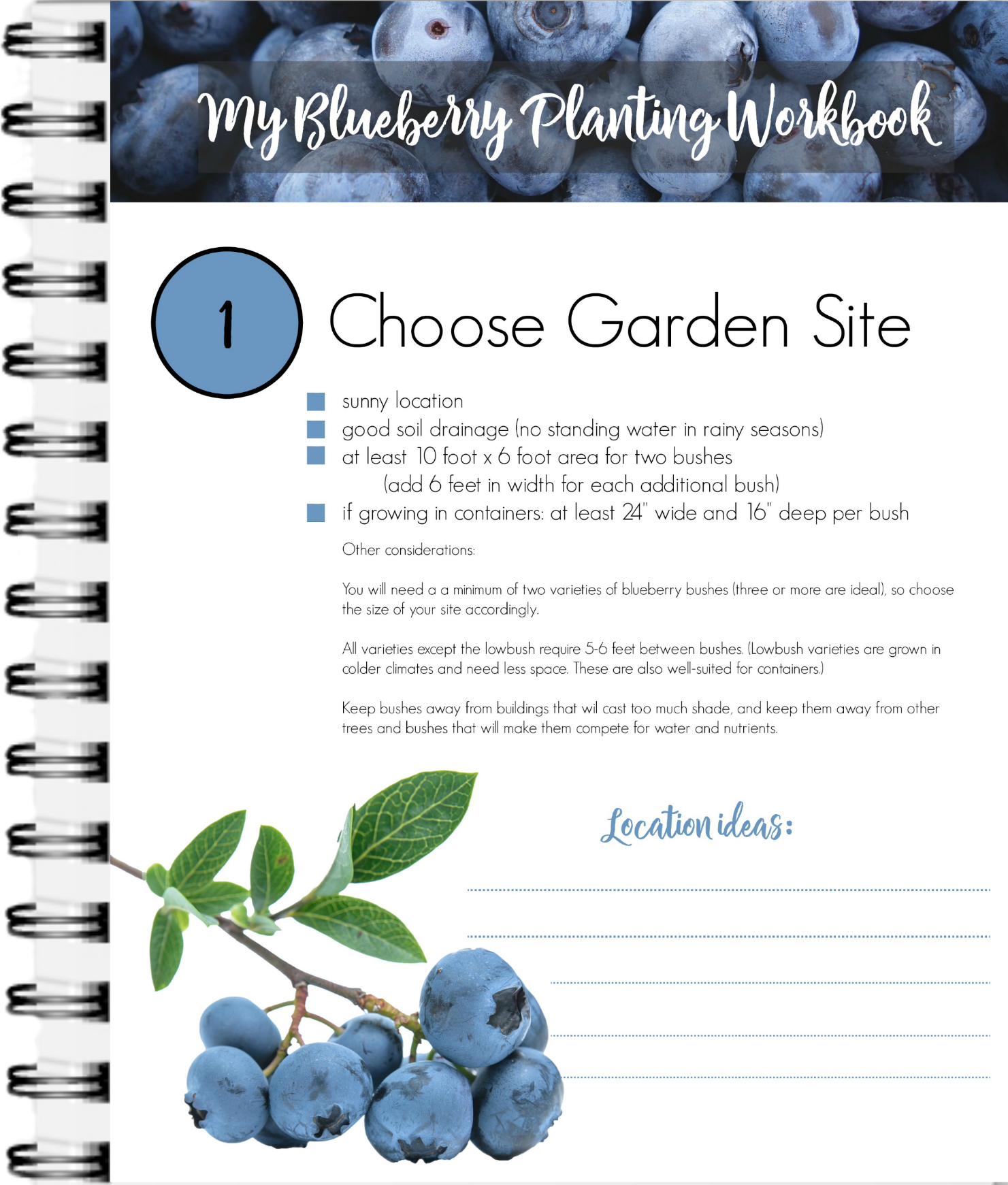 Blueberry Planting Workbook