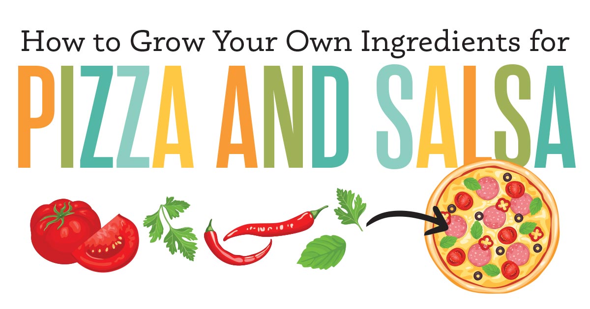 Pizza and Salsa Logo
