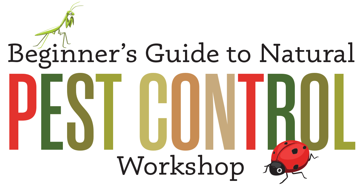 pest control workshop